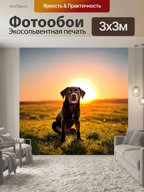 Фотообои лабрадор, позирующий на фоне заката, романтический и живописный пейзаж