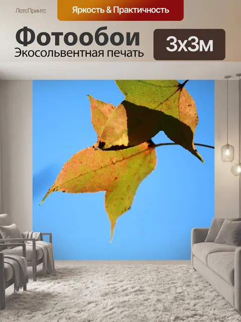 Фотообои Довольно критически