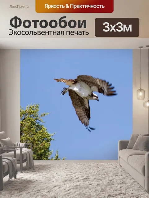 Фотообои Скопа