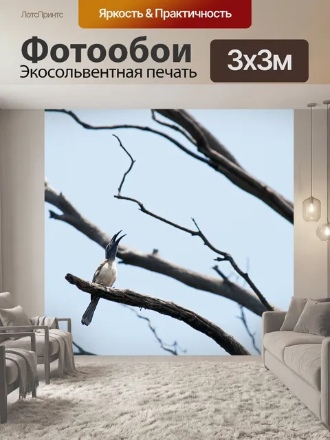 Фотообои Африканская серая птица-носорог на ветке