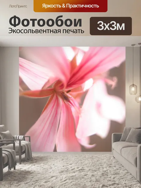 Фотообои Закрывать