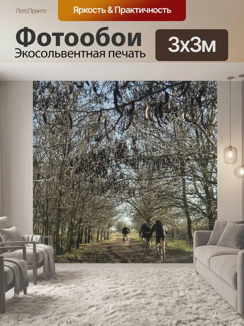 Фотообои Велосипедисты
