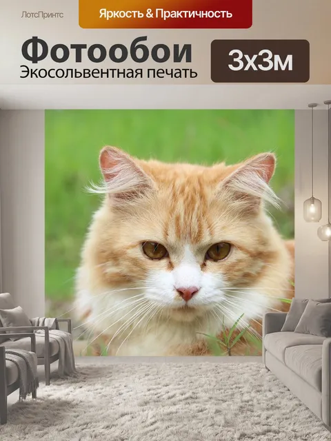 Фотообои Кошка