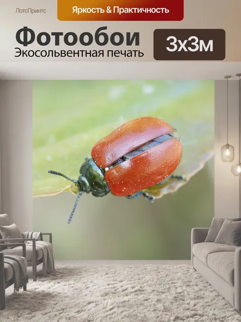 Фотообои Красный ошибка