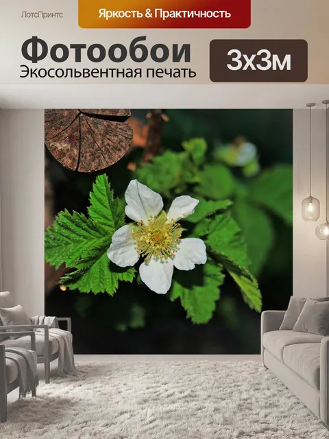 Фотообои Терновник цвести