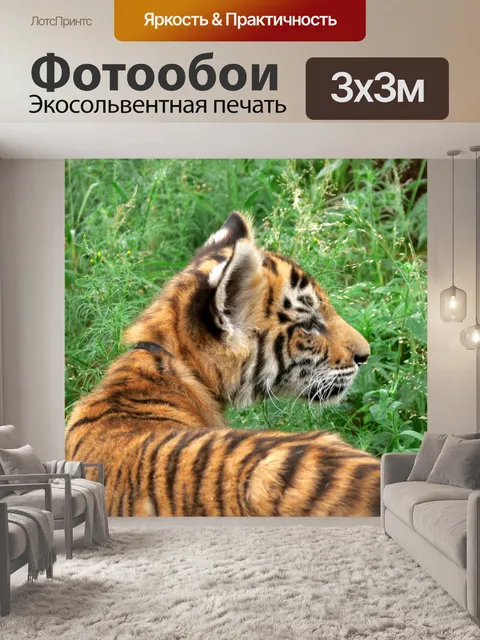 Фотообои Тигренок поворот