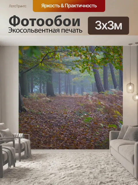 Фотообои Туманный лес