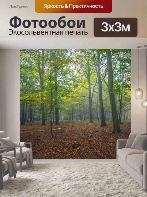 Фотообои Туманный лес