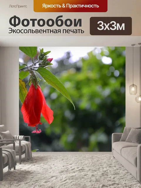 Фотообои красный гибискус