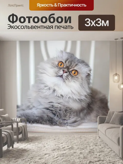 Фотообои Кошка