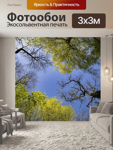 Фотообои Деревенские кроны на глубоком синем небе