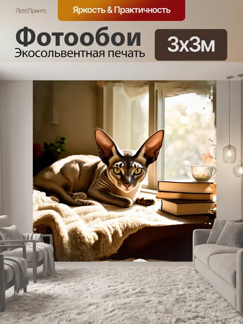 Фотообои ориентальная короткошерстная кошка