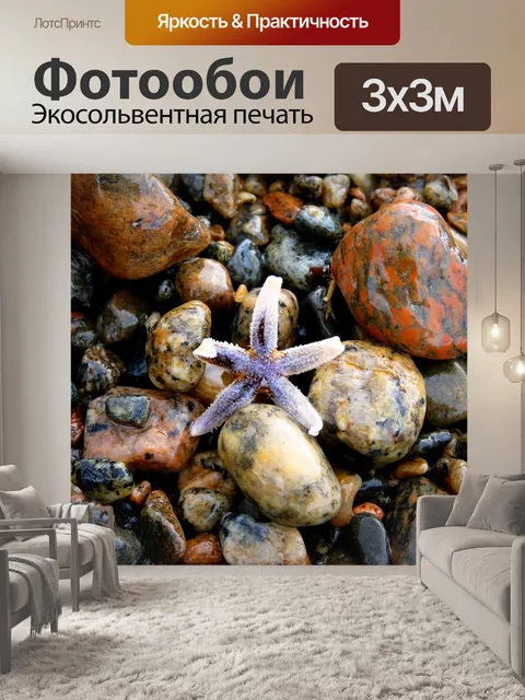 Фотообои Морская звезда