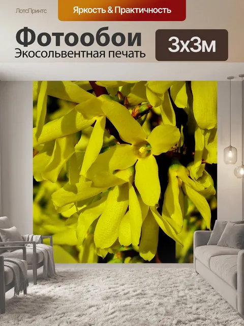 Фотообои Цветы