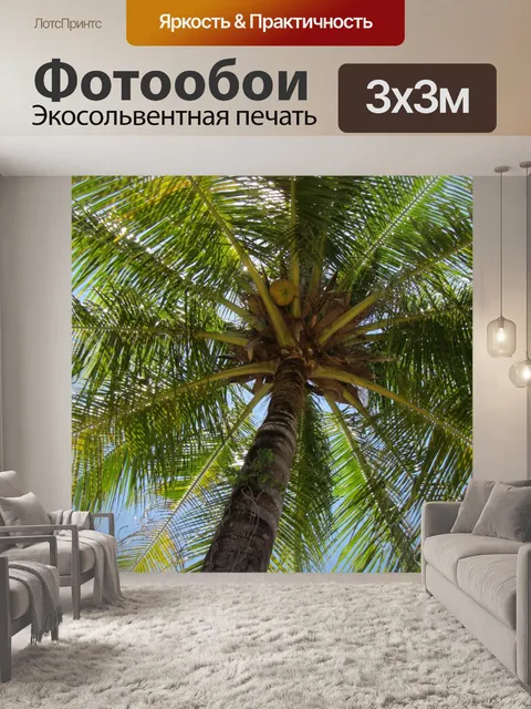 Фотообои Под кокосовой пальмы