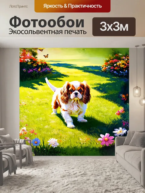 Фотообои кавалер кинг чарльз играет на свежескошенной лужайке, его шерсть сверкает от солнечных лучей