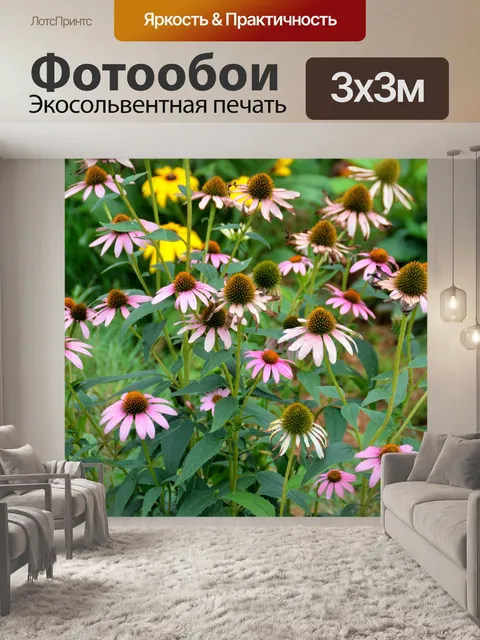 Фотообои Конус Цветы