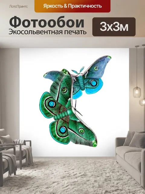 Фотообои Винтажный клипарт бабочки