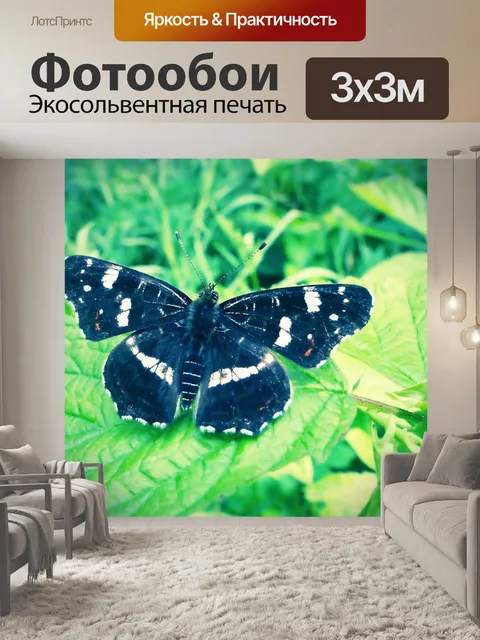 Фотообои Бабочки дневные