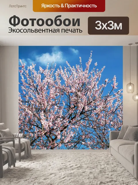 Фотообои Расцветает
