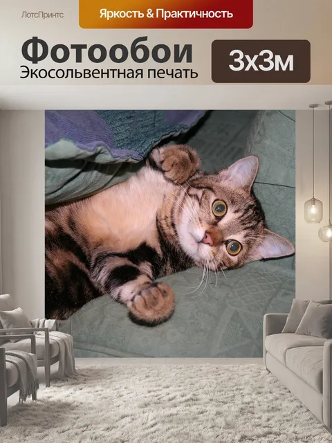 Фотообои Кошка
