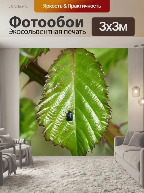 Фотообои Лист ежевики