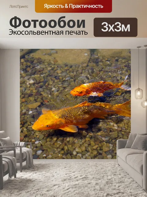 Фотообои Рыбы