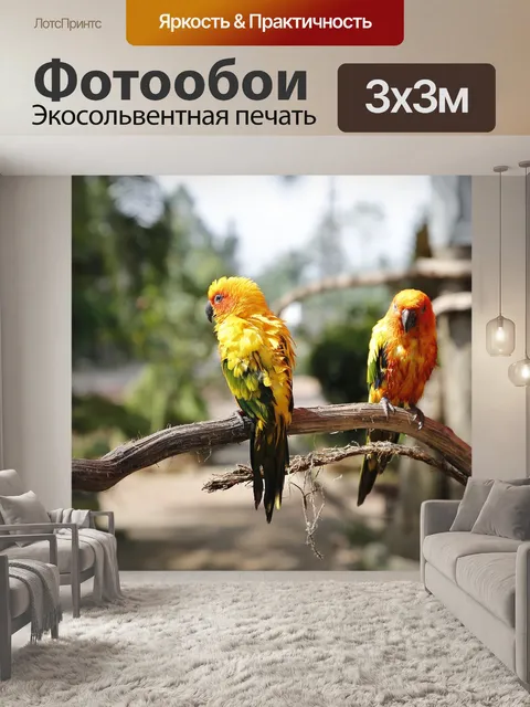 Фотообои Попугаи