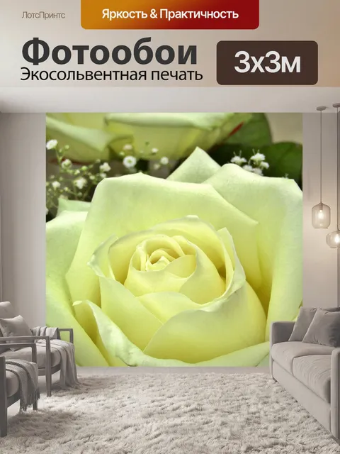 Фотообои Роза