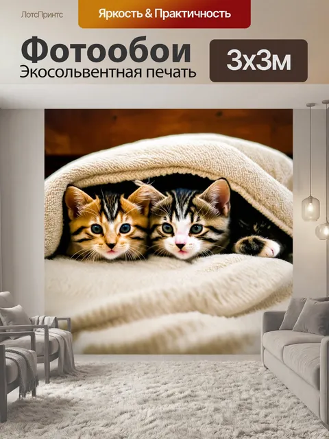 Фотообои котята, укрытые в одеялах, уютно наслаждаются вечером