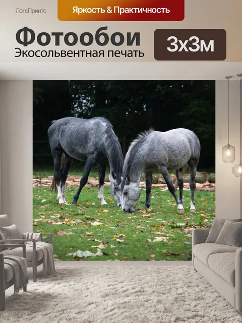 Фотообои Лошадь, лошади