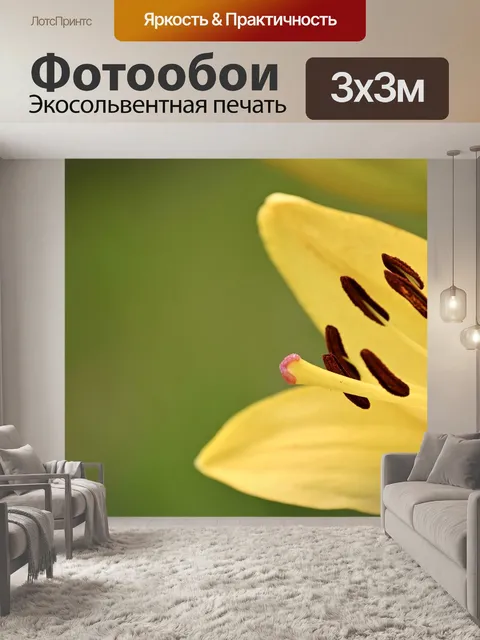 Фотообои Лили