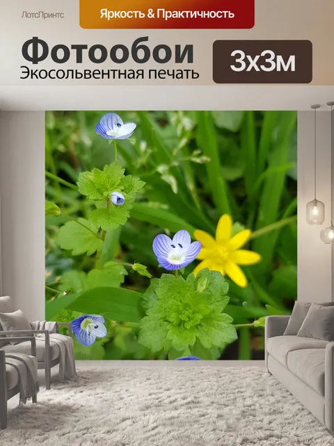 Фотообои Цветы