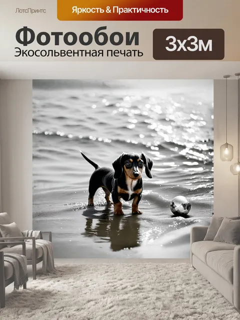 Фотообои щенок таксы играет с ярким мячом на берегу моря