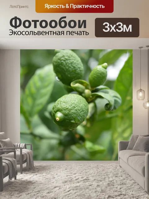 Фотообои Лайм