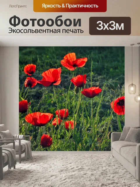 Фотообои Цветник мак