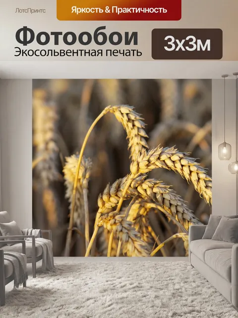 Фотообои Рожь пшеничная урожая ячменя