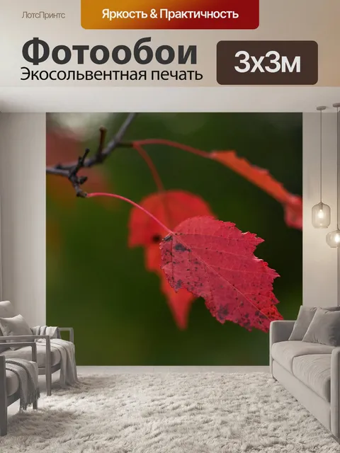 Фотообои Осень