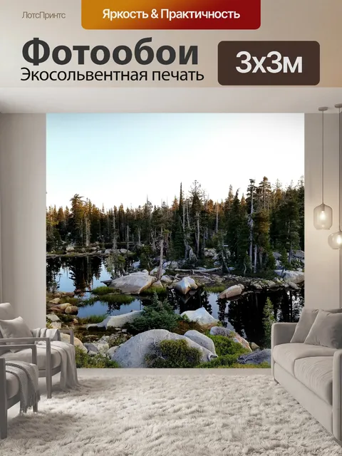Фотообои Лес
