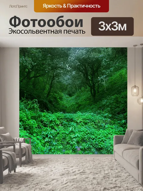 Фотообои Лес 23