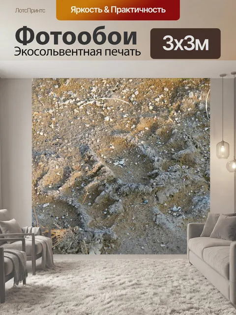 Фотообои Треки