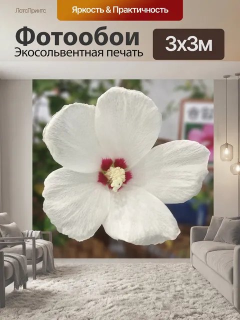 Фотообои Роза шарона
