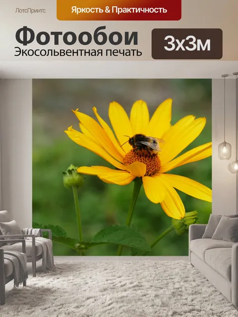 Фотообои В
