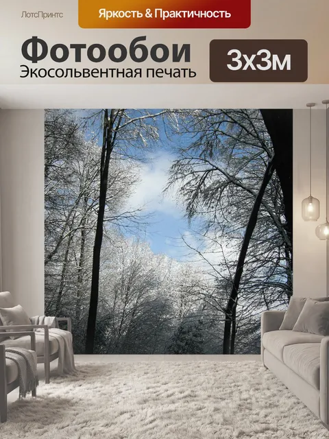 Фотообои Зимнее небо