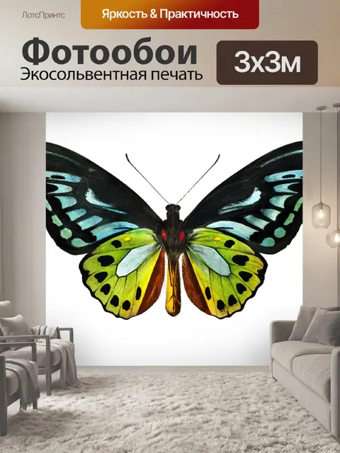 Фотообои Бабочки мотылек винтажное искусство