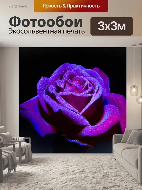 Фотообои Роза