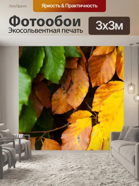 Фотообои подробнее листья бука