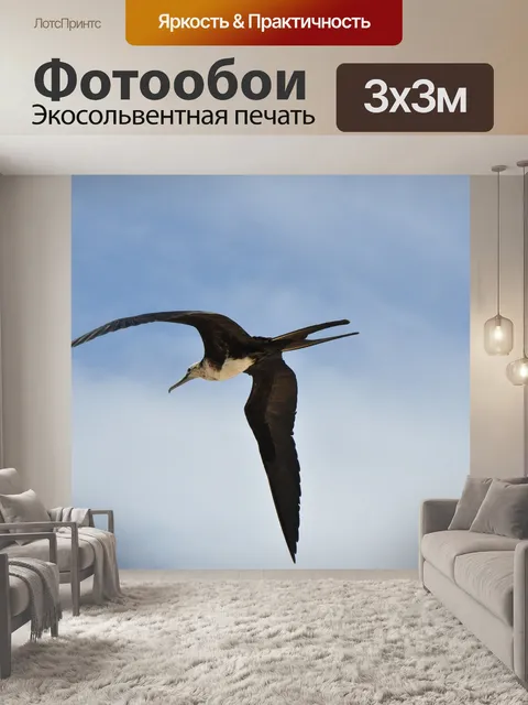 Фотообои Фрегат