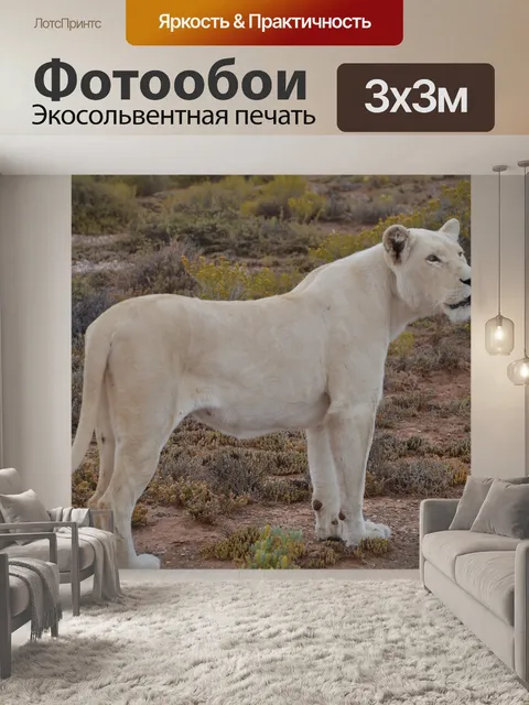Фотообои Белый лев