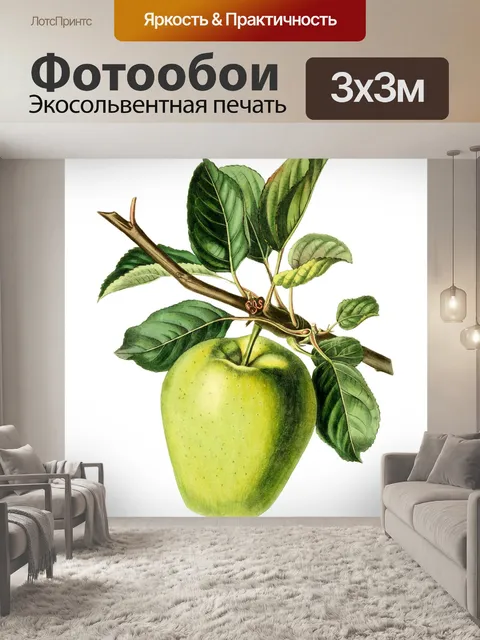 Фотообои Винтажное искусство иллюстрации яблоко